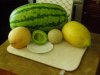 MELONS, JULY, 2013 001 (640x480).jpg