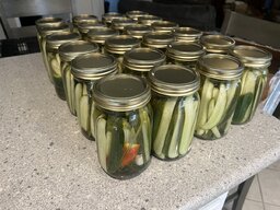 IMG_2442.jpeg